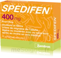 Spedifen 400 Mg, Comprimé Pelliculé Plq/12 à MANDUEL